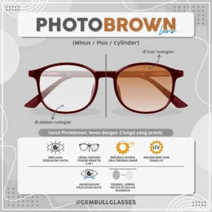 Lensa Photobrown